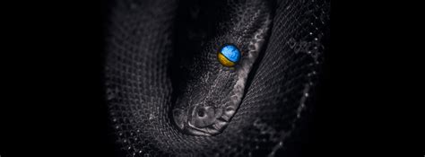 Image result for Python Web Development Framewoks