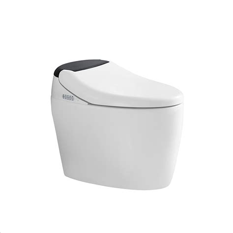 Tankless Smart Bidet Toilet Dual Flush One Piece Intelligent Toilet ...