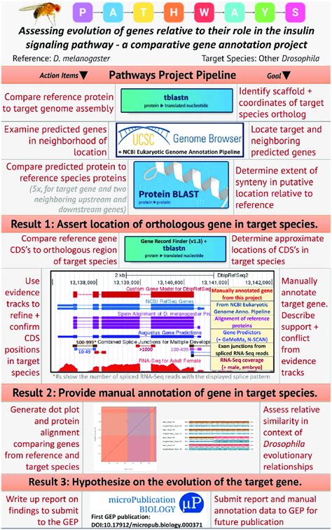 Image result for Gene Annotation Assignment