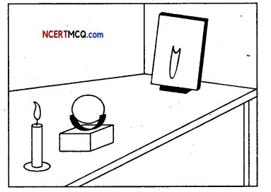 Image result for Chapter Light Questions Class 7