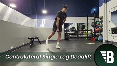 Image result for Contralateral Exercise Examples