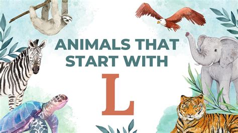 Animals With L