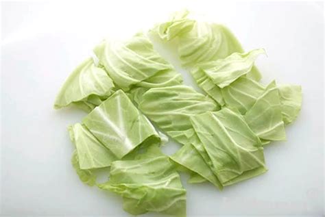 Cabbage | How to prepare vegetables | Kikkoman Corporation