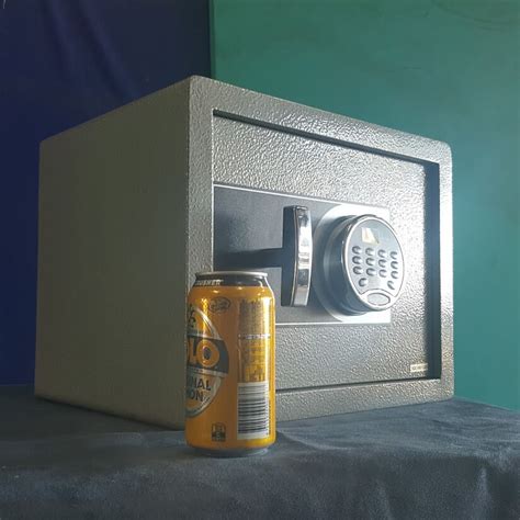 Image result for Small Person Safe