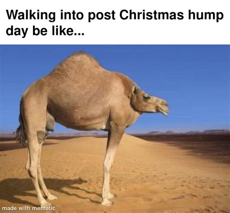Vulgar Hump Day Memes