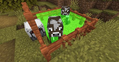 Image result for Minecraft Mob Script