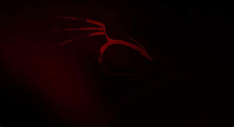Image result for Kali Linux Background