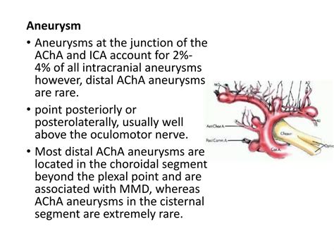 Anterior Choroidal Artery.pptx