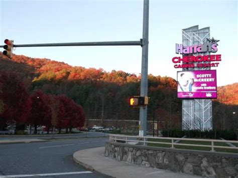 AMBIL SEKARANG