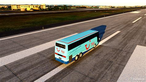 Image result for Tui Local Bus