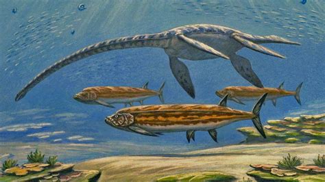 The Western interior seaway was a shallow ocean that divided north ...