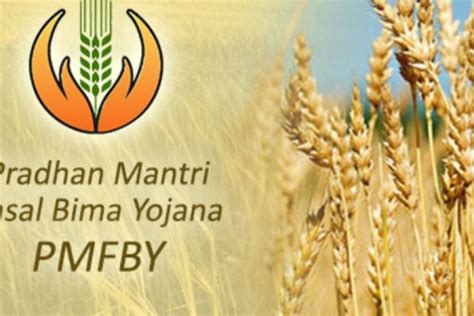 Cabinet approves modifications to PMFBY and RWBCIS, ₹824.77 crore fund ...