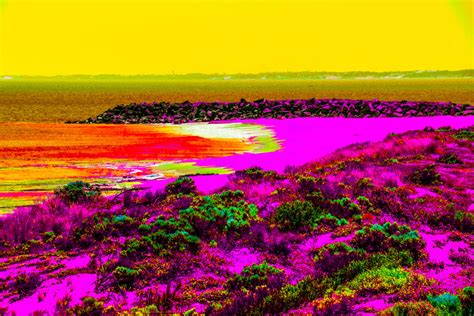 Alien Beach Drawing 的图像结果