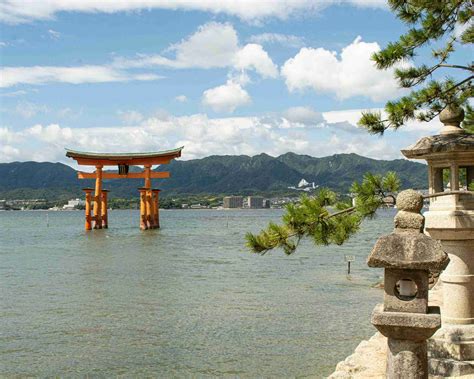 Best Car Insurance in Japan: Comprehensive Guide & Tips