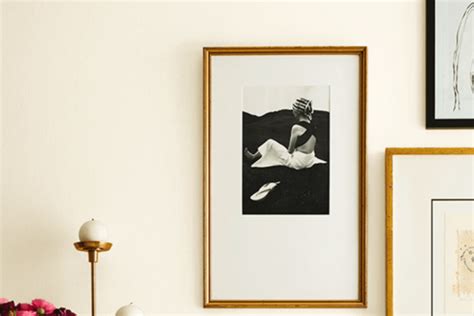 Image result for What Color Is Shell