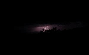 Wallpaper trees, lightning, night, sky hd, picture, image