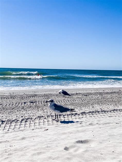 Image result for Check Off Your Goals