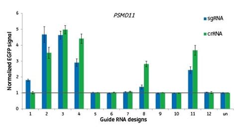 Edit-R predesigned lentiviral sgRNA
