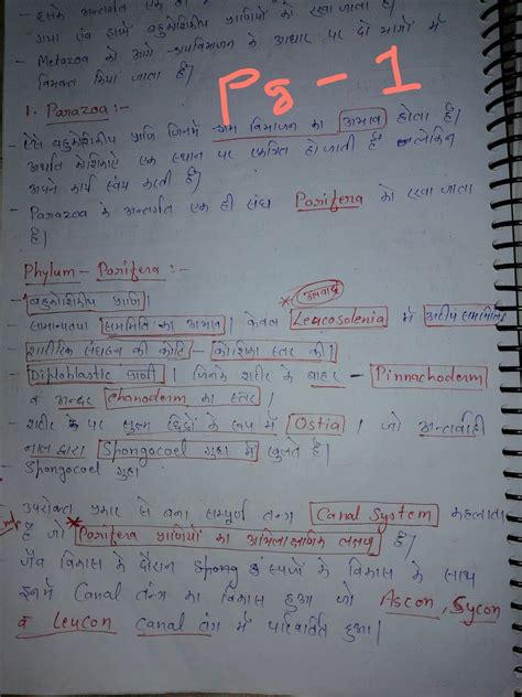 Biology notes for diversity in living organism in porifera - Brainly.in