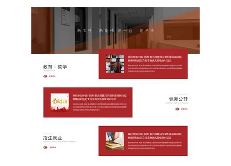品牌网站案例-湘潭理工学院