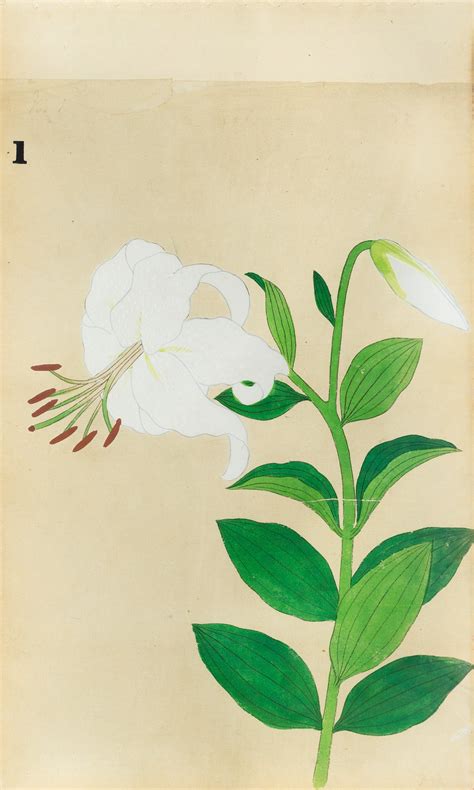 JAPANESE (Late 19th Century) - Lilies 1 – Arader Galleries