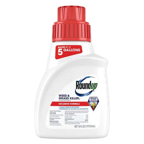 Roundup 16 fl. oz. Weed and Grass Killer Concentrate for India | Ubuy