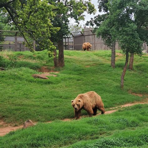 Oklahoma City Zoo: Information, Tickets and Reviews
