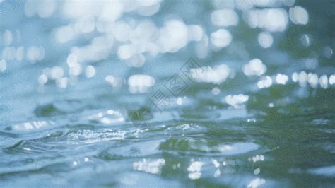 溪水流动GIF动图图片-正版gif素材401452654-摄图网