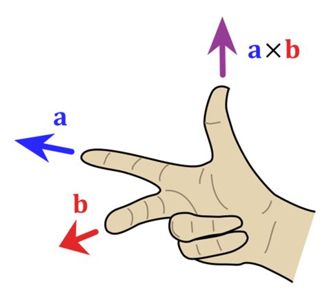 Image result for Right Hand Rule Explained