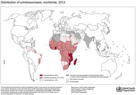 Schistosomiasis causes, symptoms, diagnosis, prevention &andtreatment