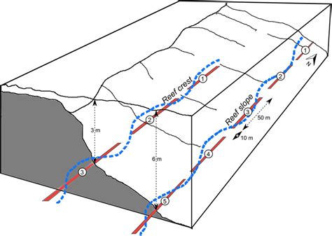 Image result for Transects Method