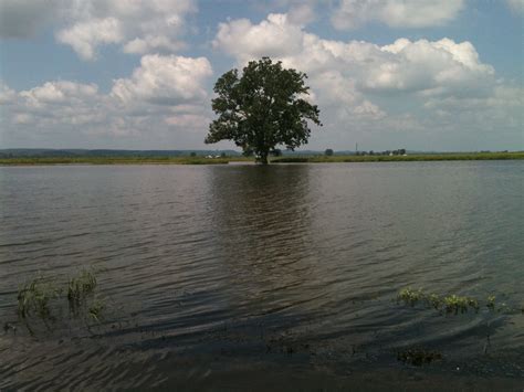 Elevation of Prairie du Rocher, Prairie Du Rocher, IL, USA ...
