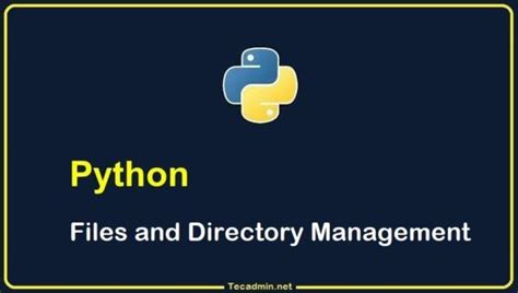 Python Find File Directory 的图像结果