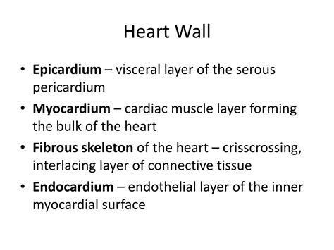 Anatomy And Physiology of Human Heart | PDF