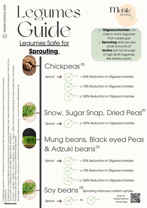 Beans versus Legumes: Unveiling the Key Differences - Mobile Dietitian