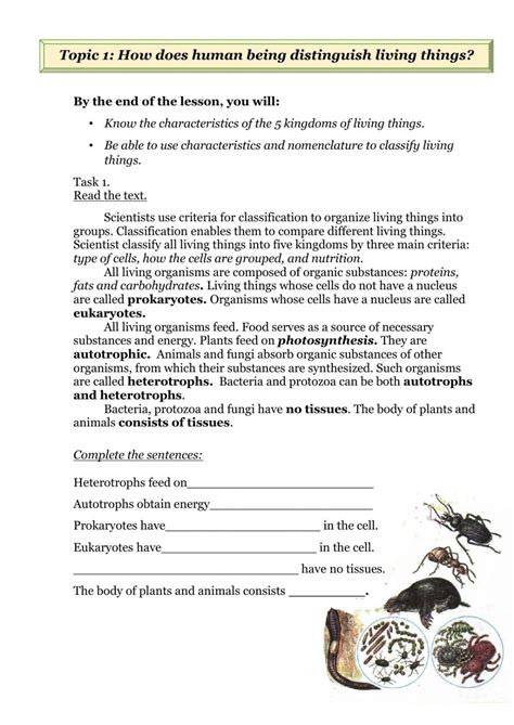 Image result for Classification Living Things Worksheet
