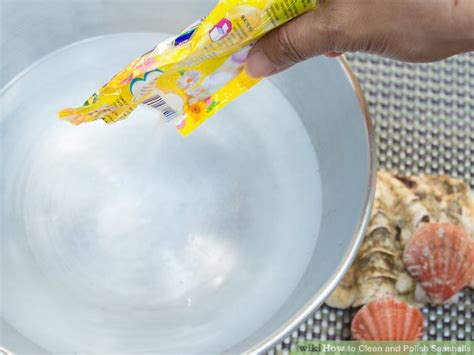 How to Polish Shells 的图像结果