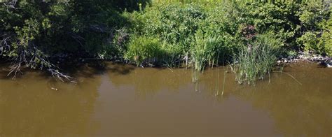 Stagnant Water: How Does It Affect Dugout Ponds, Retention Ponds, And ...
