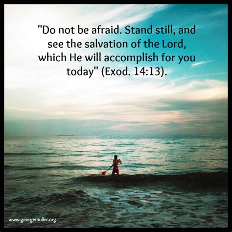 Image result for Scripture Reflections