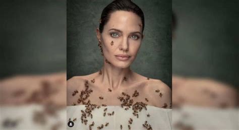 Angelina Jolie's 'bee' story behind her recent picture that has gone ...