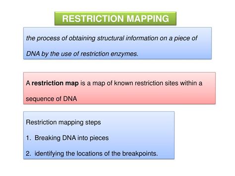 Restriction Map Explained 的图像结果