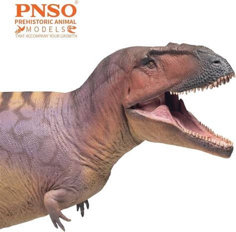 PNSO Prehistoric Dinosaur Models:83 Mateo The India | Ubuy