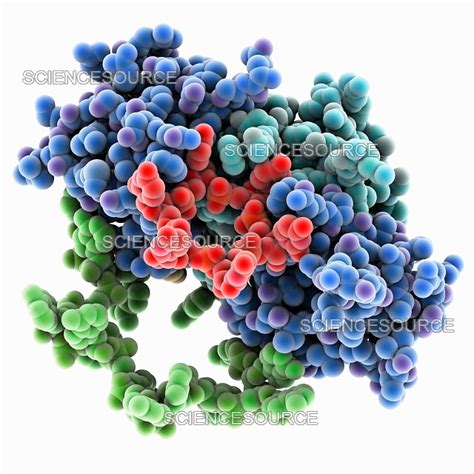 RNA Model 的图像结果