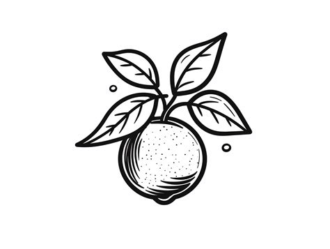 Image result for Lemon Drawing Colored