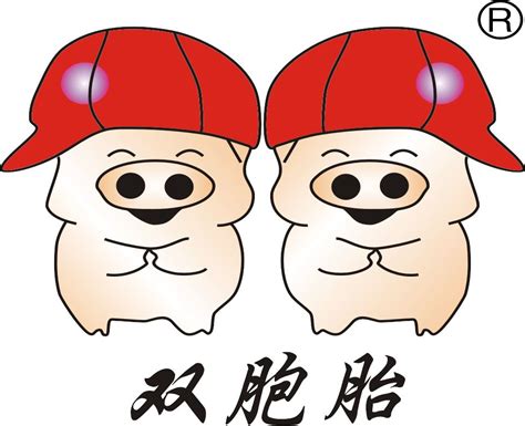 双胞胎集团正在参加“中国好猪料·第7季”，欢迎围观和支持！-搜狐大视野-搜狐新闻