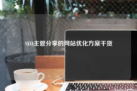 SEO主管分享的网站优化方案干货 - 世外云文章资讯