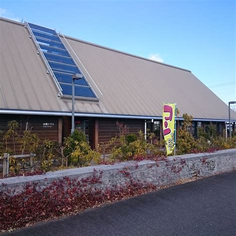 NAGASHIMA YUKAN SUIGOTERRACE (2026) All You Need to Know BEFORE You Go ...