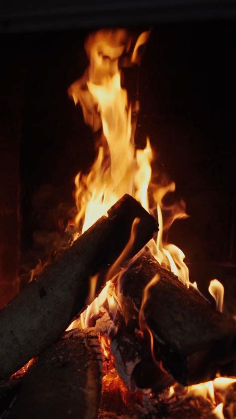 Fire quotes with photography shoots – Artofit