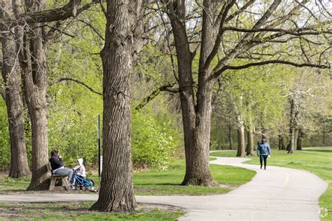 About Marquette Park | Schools, Demographics, Things to Do - Homes.com