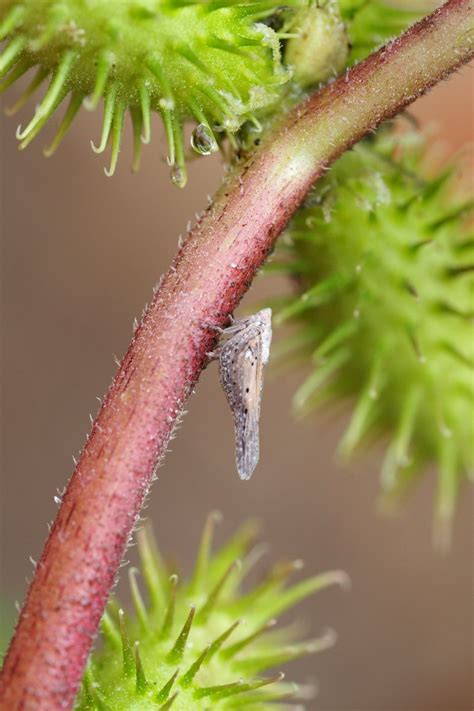 John Carlson (@JohnCarlson@mstdn.social) - Mastodon 🐘